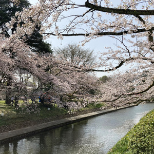 さよならしたのに