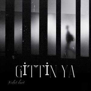 GİTTİN YA