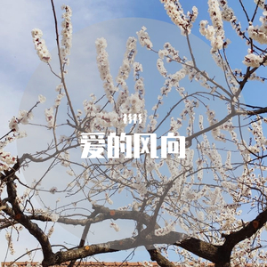 爱的风向