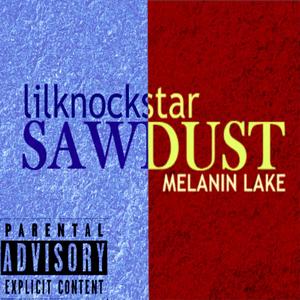 Sawdust (feat. Melanin Lake)