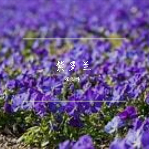 紫罗兰梦幻之境