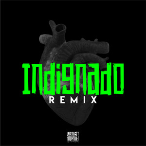 Indignado (Versão Espanhol)