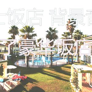 柔和的饭店时刻