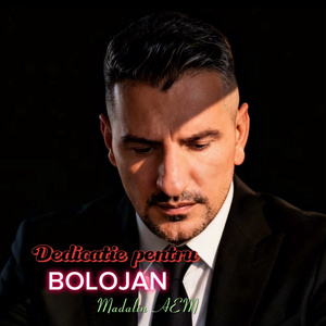 Dedicatie pentru Bolojan