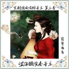 琵琶清音- 锁麟囊(程派)"耳听得悲声惨心中如捣"