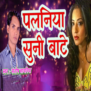 Palaniya Suni Bate