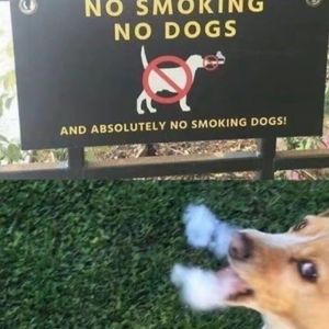 Story time freestyle