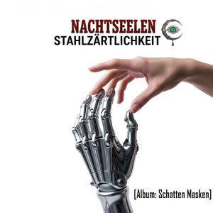 Stahlzärtlichkeit (Radio Edit)