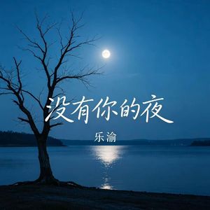 没有你的夜