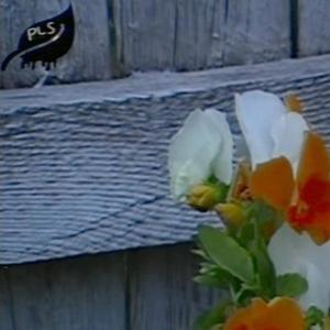 level exclamation point