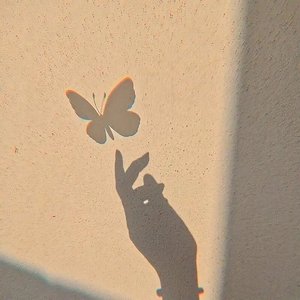 因为想念所以想见