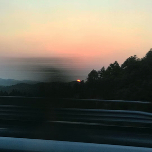 一棵会开花的树ukulele弹唱