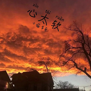 富婆之歌(抖音热搜版)