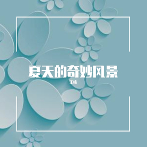 王晓-夏天的奇妙风景