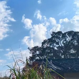 风残旧泪