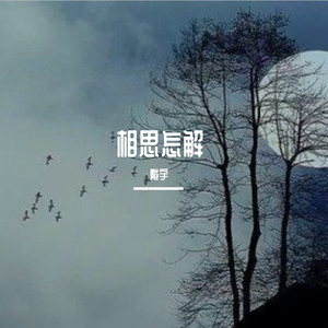 相思怎解demo