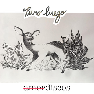 Kristalezko sukaldea (Setem)