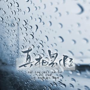 真相是假（翻自 洪卓立）