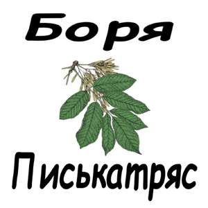 Ясень