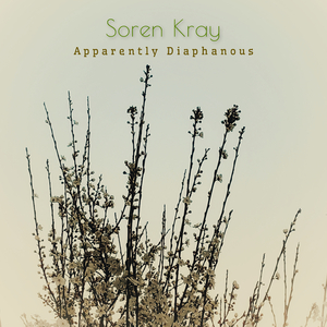 Apparently Diaphanous