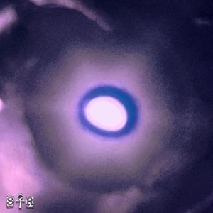 ounce in the B (feat. Gloferonthebeat)