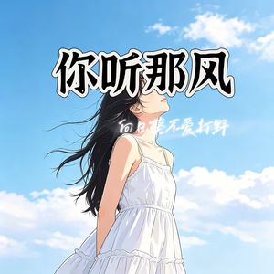 你听那风 伴奏