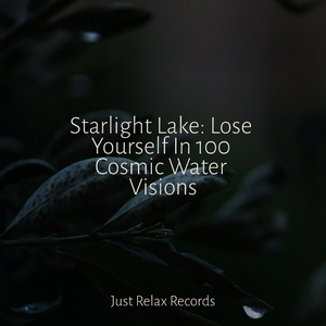 Echoes Amidst the Pines