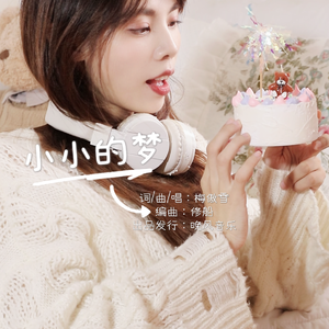 小小的梦