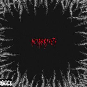 metamorfozy
