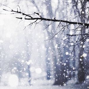 初冬的记忆（prod by 多芬DolBeatz）