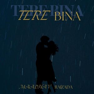 Tere Bina
