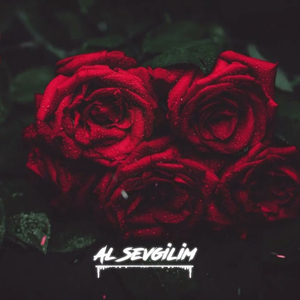 Al Sevgilim Kır Kalbimi