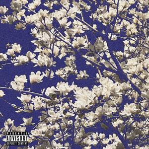 悲情诺曼史pat.2(2)