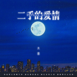 二手的爱情