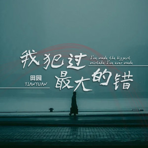 我犯过最大的错