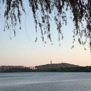 Sublimation (升华)