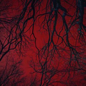 总有一天你会出现我身边