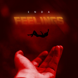 Feelings