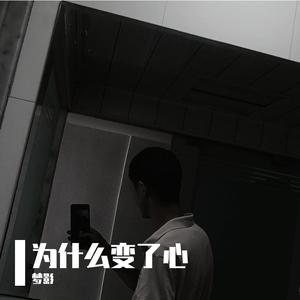 最美的情缘（dj版）