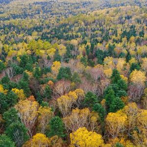 《钢琴弦乐交织的电影质感之梦》010
