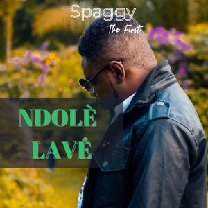 Ndolè lavé