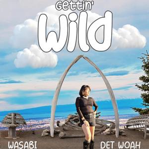 WILD (feat. Aaron Susook) (Remix)