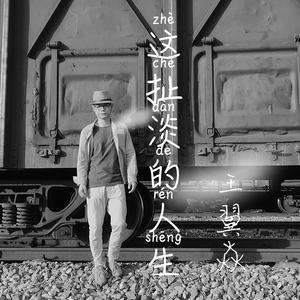 这扯淡的人生（DJ版）