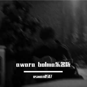 awara bolma （现场）