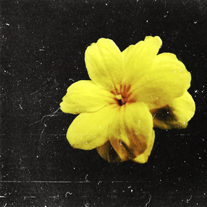 Երեք Փակագիծ