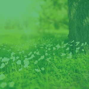 抚慰的放松回忆