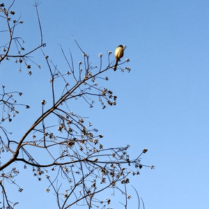 “我的爱情已打烊”