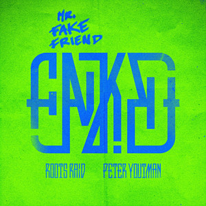 Mr. Fake Friend