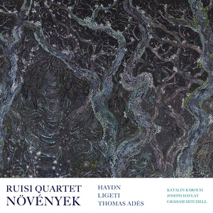 Növények – Seven Hungarian Poems for Mezzo-Soprano and Piano Sextet: No. 6, Hosszú a virágfüzér (Long is the flower-garland)