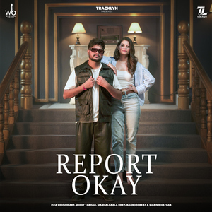 Report Okay (feat. Fiza Choudhary)